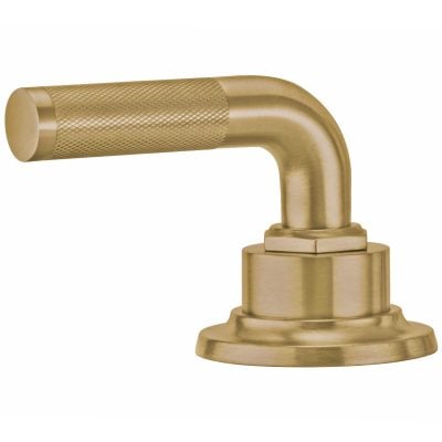 Lifetime Satin Gold PVD Handle